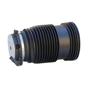 Пневмобалон W213 R