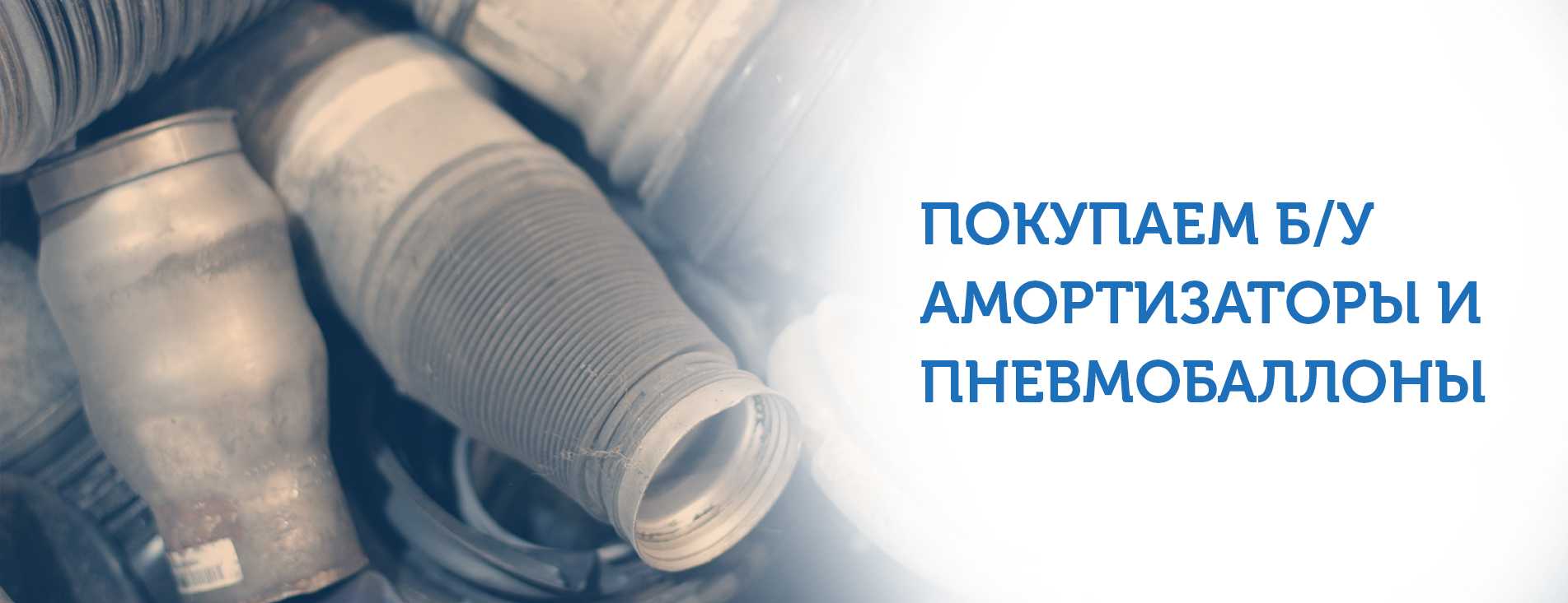 Главная
